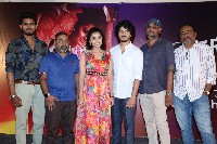 Butterfly Movie Press Meet Photos